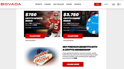 Bovada image 1